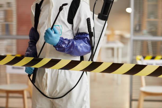 Professional Sewage Cleanup technician working in Blue Jay, OH